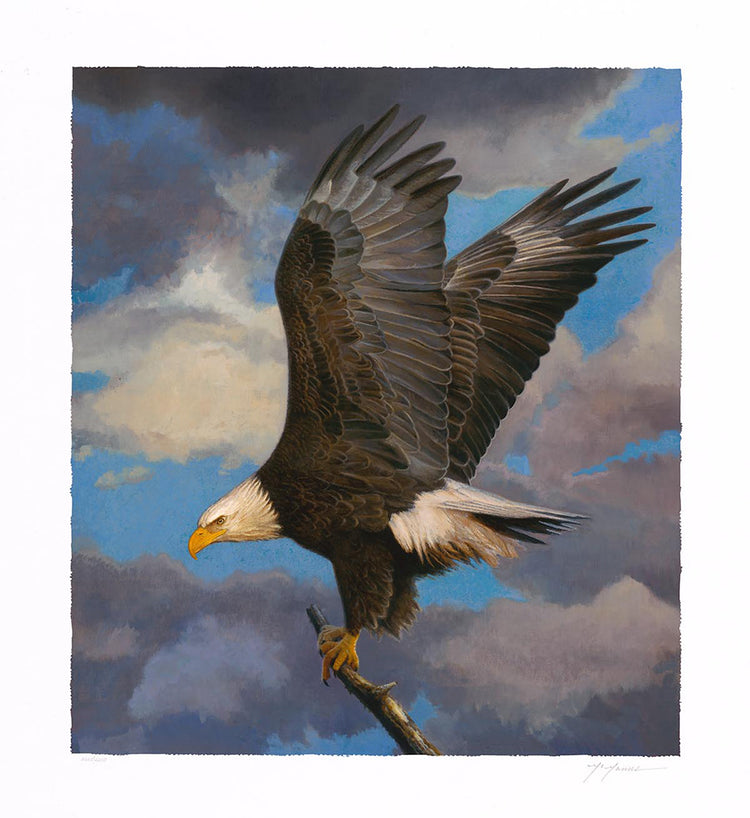 Pat McManus - Inherit the Wind (2019)