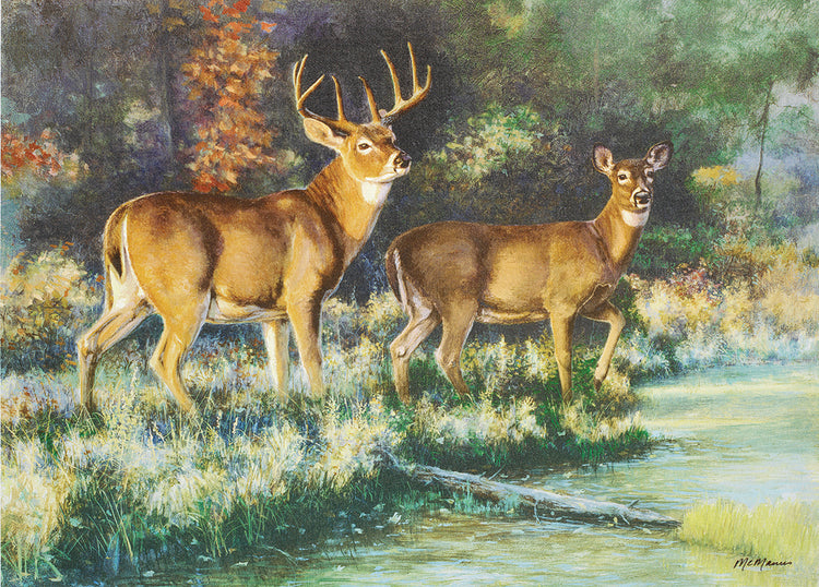 Pat McManus - Sundance (2005)