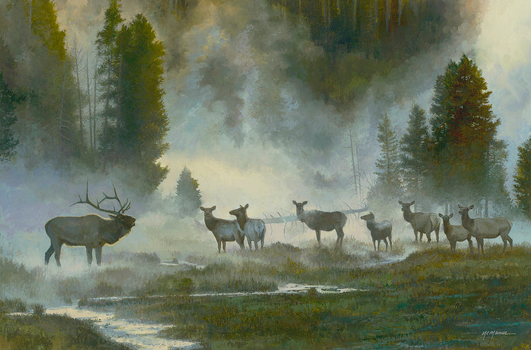 Pat McManus - Mr. Magic (2015)