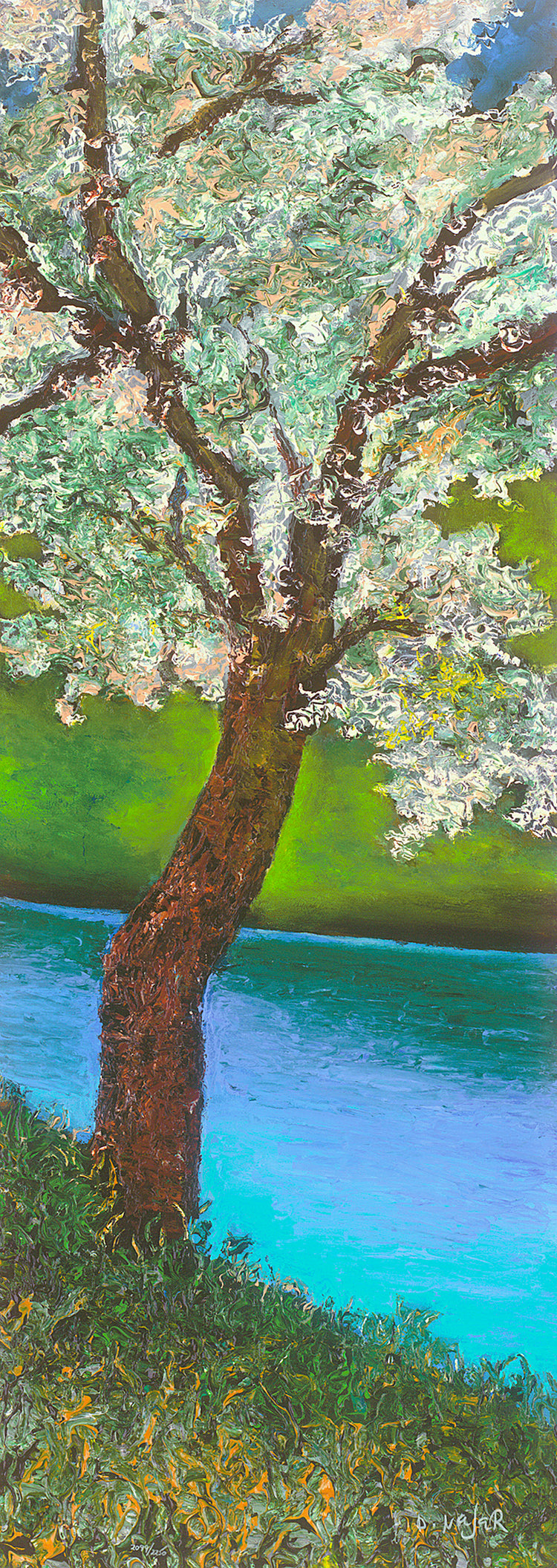 David Najar - Dogwood Display (2016)