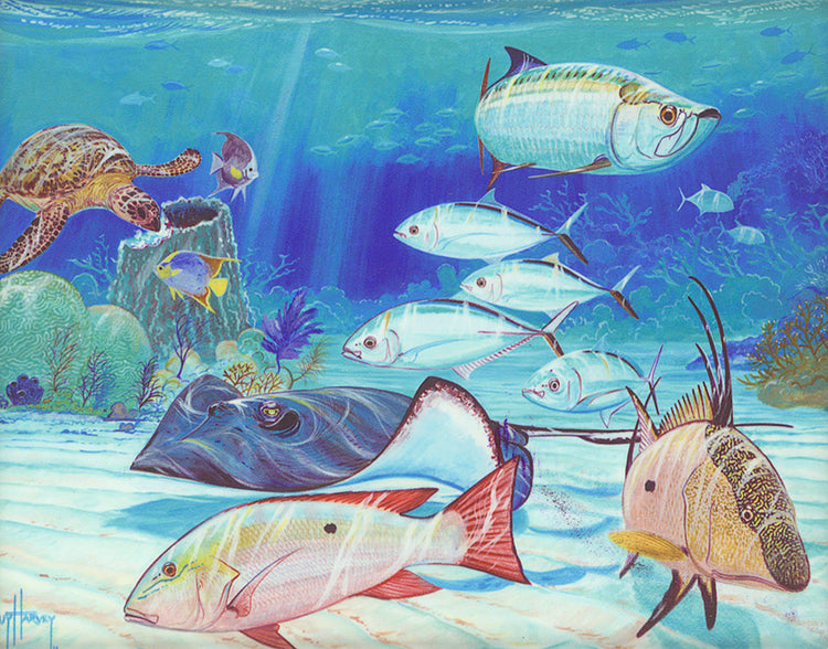 Guy Harvey - Reef Patrol (2016)