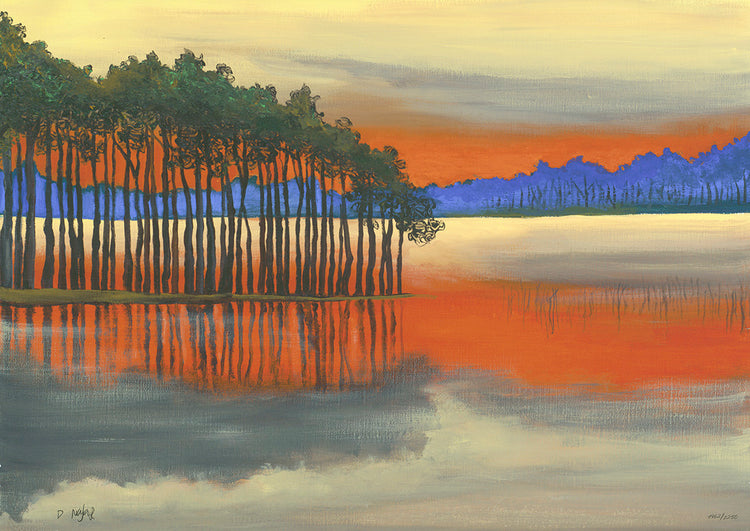 David Najar - Beyond the Trees (2016)