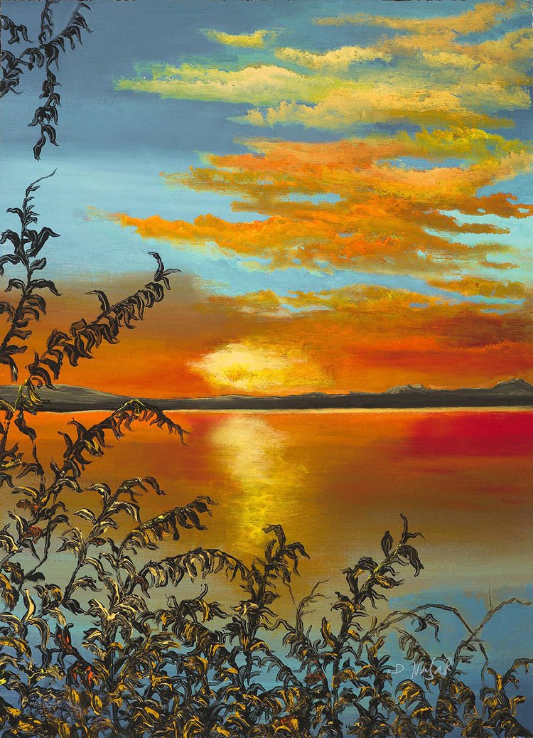 David Najar - Open Horizon (2018)