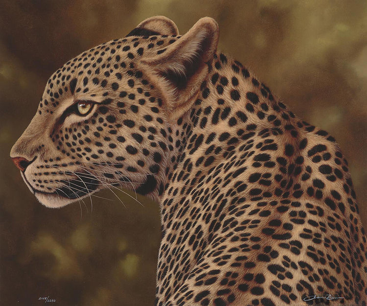 Andrew Bone - African Princess (2018)