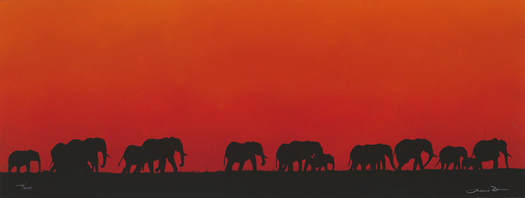 Andrew Bone - Chobe Sunset (2018)