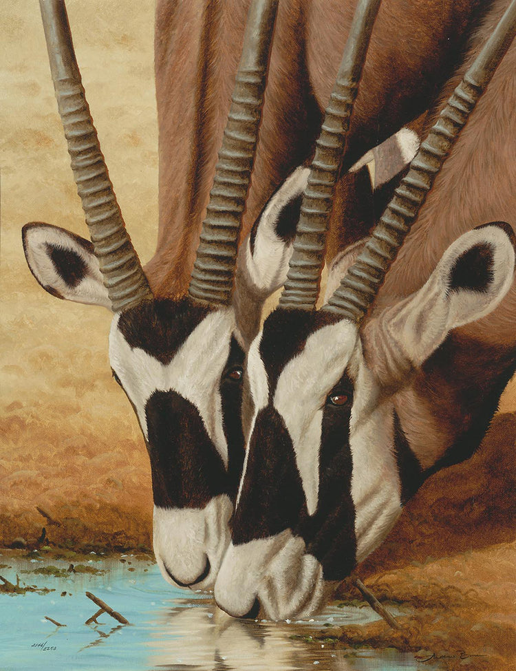 Andrew Bone - Gemsbok Drinking (2018)