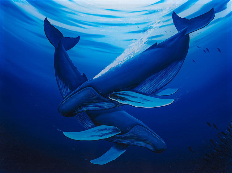 Wyland - Gentle Giants (2019)