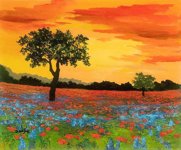 David Najar - Finding Tranquility (2019)