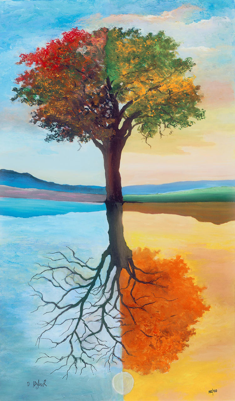 David Najar - Season Illusion (2019)