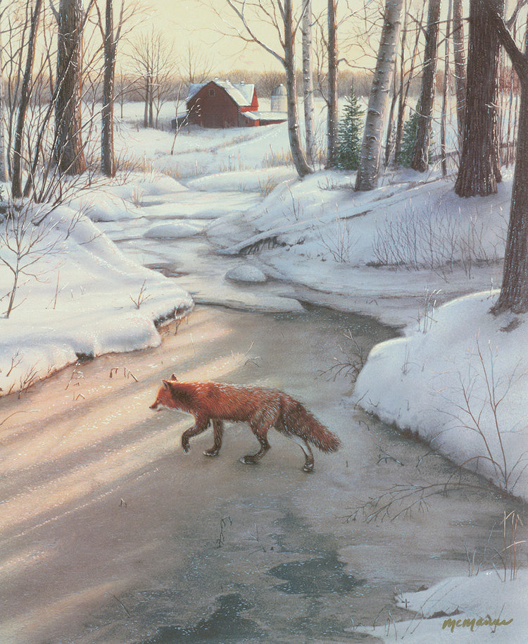 Pat McManus - Red Fox (2005)