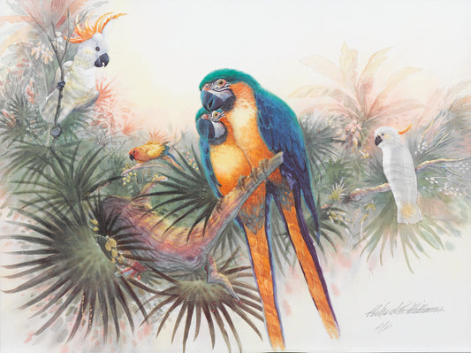 Richard E. Williams - Tropical Birds (1999)